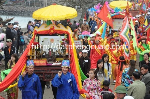 cau_ngu_nghi_hai