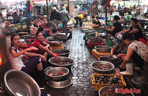 Cửa Lò đô thị du lịch biển: Đi chợ hải sản