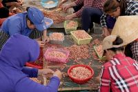 Hải sản Cửa Lò sẵn sàng cho mùa du lịch