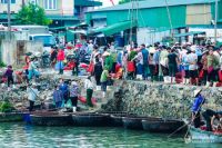 Lao xao bến cá Cửa Hội