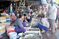 Cửa Lò nâng cao chất lượng phục vụ du khách