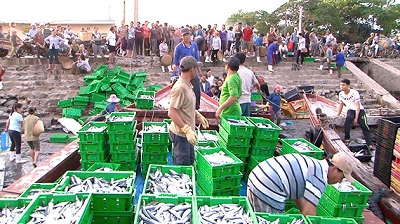 Tàu cá Đức Tâm 1-Cửa Lò trúng chuyến đánh bắt hải sản giá trị 200 triệu đồng